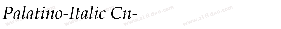Palatino-Italic Cn字体转换